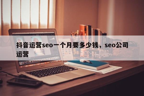 抖音运营seo一个月要多少钱，seo公司运营