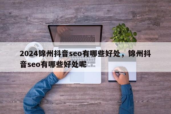 2024锦州抖音seo有哪些好处，锦州抖音seo有哪些好处呢