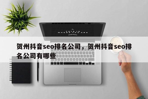 贺州抖音seo排名公司，贺州抖音seo排名公司有哪些