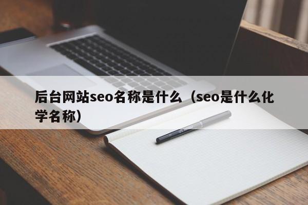 后台网站seo名称是什么（seo是什么化学名称）