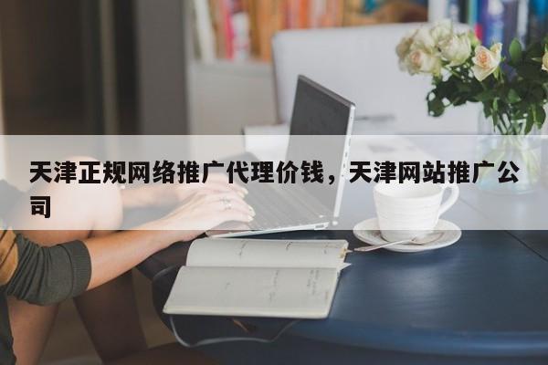 天津正规网络推广代理价钱，天津网站推广公司