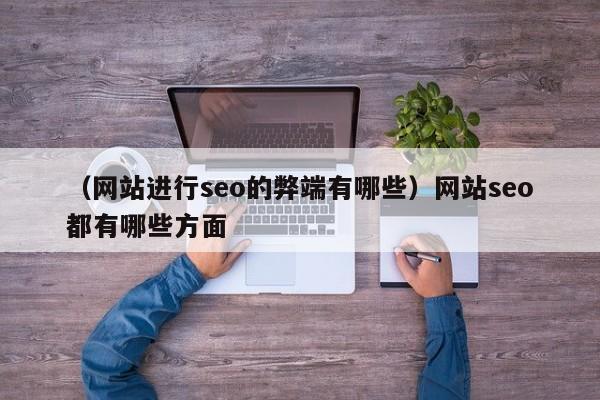 （网站进行seo的弊端有哪些）网站seo都有哪些方面