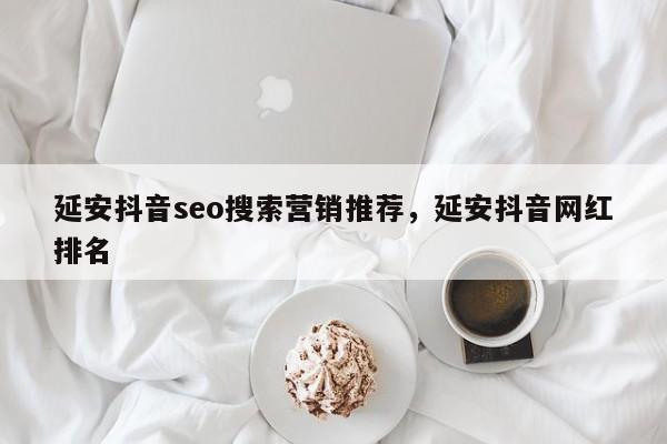 延安抖音seo搜索营销推荐，延安抖音网红排名