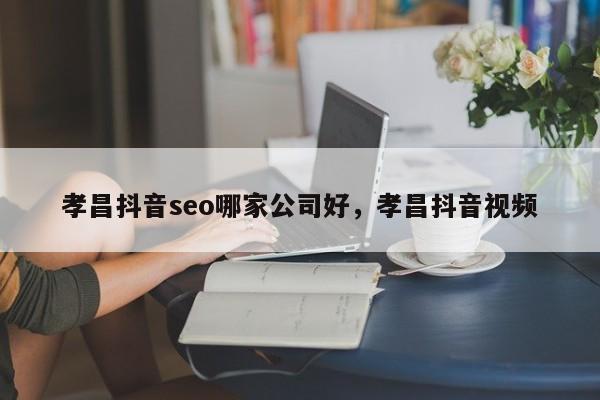 孝昌抖音seo哪家公司好，孝昌抖音视频