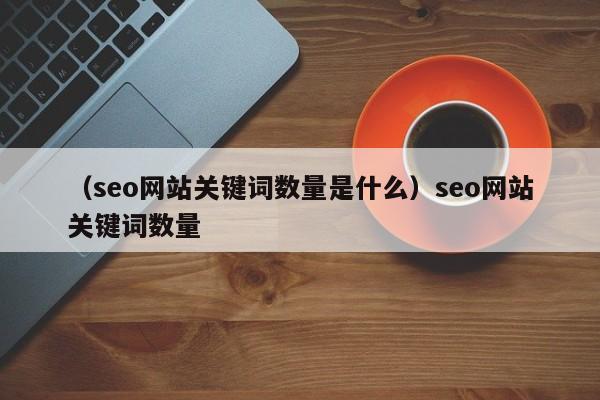 （seo网站关键词数量是什么）seo网站关键词数量