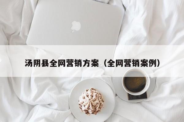 汤阴县全网营销方案（全网营销案例）