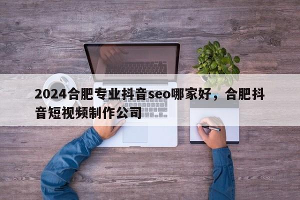 2024合肥专业抖音seo哪家好，合肥抖音短视频制作公司