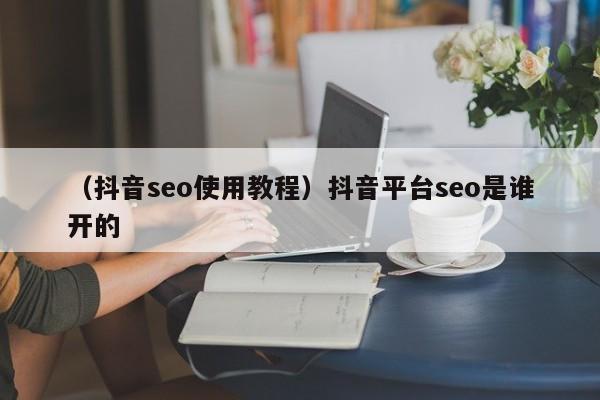 （抖音seo使用教程）抖音平台seo是谁开的