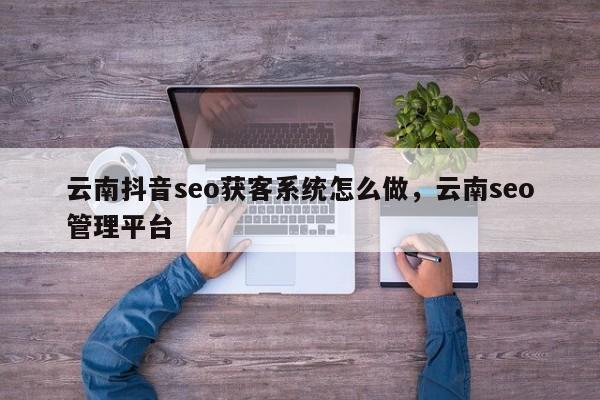 云南抖音seo获客系统怎么做，云南seo管理平台