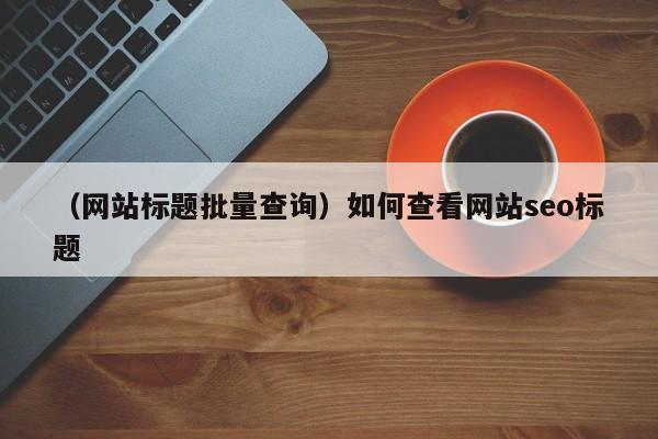 （网站标题批量查询）如何查看网站seo标题