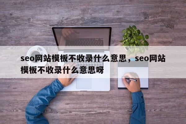 seo网站模板不收录什么意思，seo网站模板不收录什么意思呀