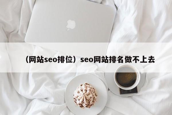 （网站seo排位）seo网站排名做不上去