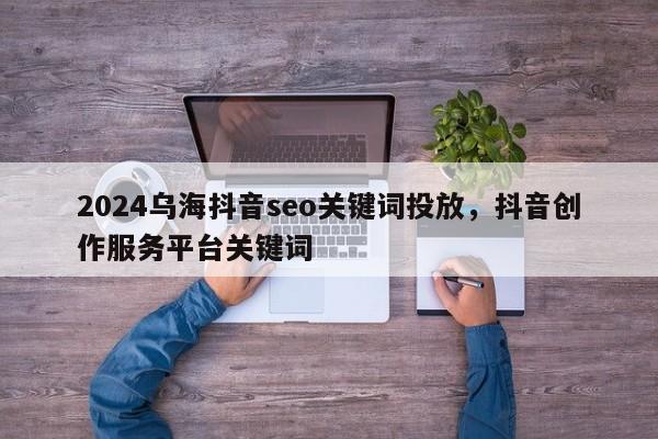 2024乌海抖音seo关键词投放，抖音创作服务平台关键词