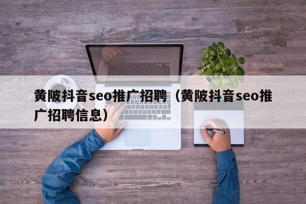 黄陂抖音seo推广招聘（黄陂抖音seo推广招聘信息）