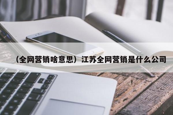 （全网营销啥意思）江苏全网营销是什么公司