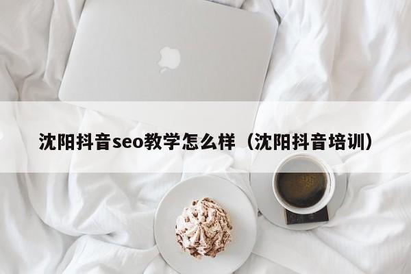 沈阳抖音seo教学怎么样（沈阳抖音培训）