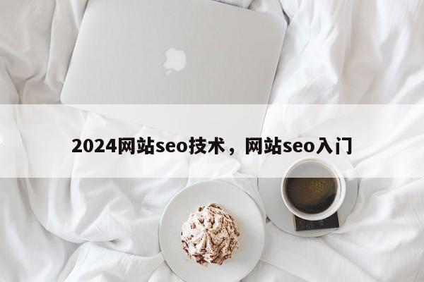 2024网站seo技术，网站seo入门