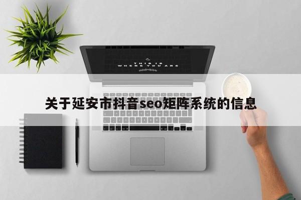 关于延安市抖音seo矩阵系统的信息