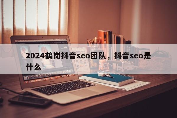 2024鹤岗抖音seo团队，抖音seo是什么