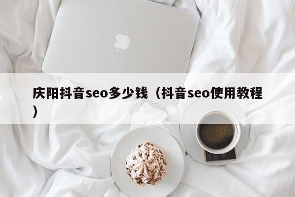 庆阳抖音seo多少钱（抖音seo使用教程）