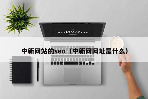 中新网站的seo（中新网网址是什么）