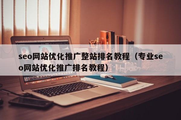 seo网站优化推广整站排名教程（专业seo网站优化推广排名教程）