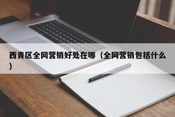 西青区全网营销好处在哪（全网营销包括什么）