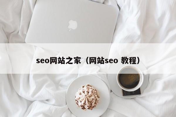 seo网站之家（网站seo 教程）