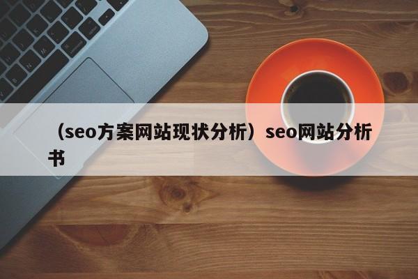 （seo方案网站现状分析）seo网站分析书