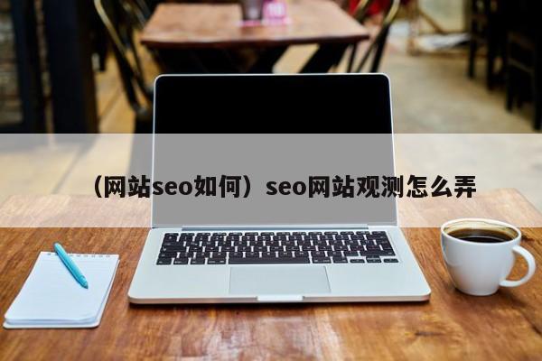 （网站seo如何）seo网站观测怎么弄