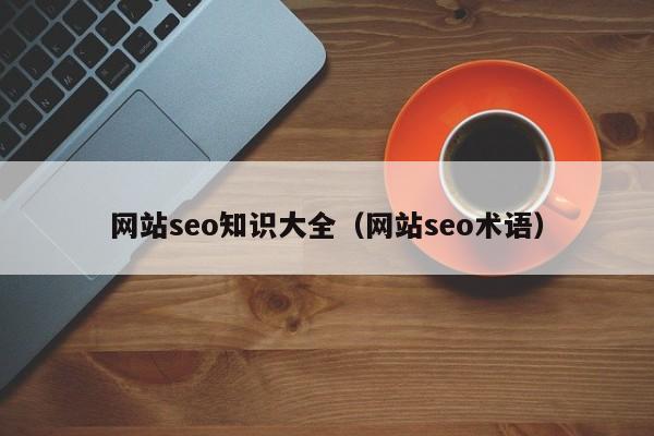 网站seo知识大全（网站seo术语）