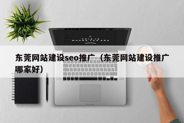 东莞网站建设seo推广（东莞网站建设推广哪家好）