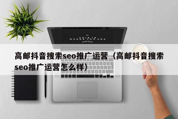 高邮抖音搜索seo推广运营（高邮抖音搜索seo推广运营怎么样）