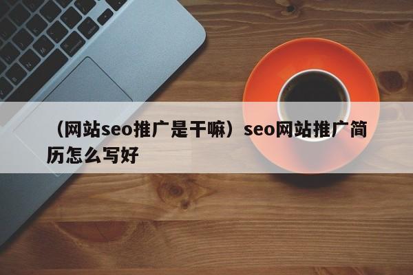 （网站seo推广是干嘛）seo网站推广简历怎么写好