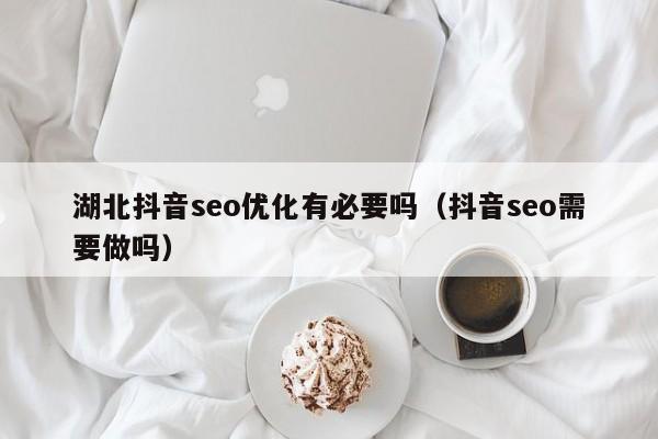 湖北抖音seo优化有必要吗（抖音seo需要做吗）