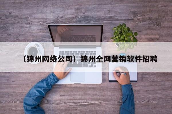 （锦州网络公司）锦州全网营销软件招聘