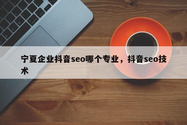 宁夏企业抖音seo哪个专业，抖音seo技术