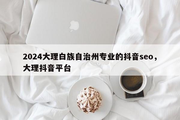 2024大理白族自治州专业的抖音seo，大理抖音平台