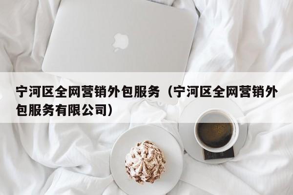 宁河区全网营销外包服务（宁河区全网营销外包服务有限公司）