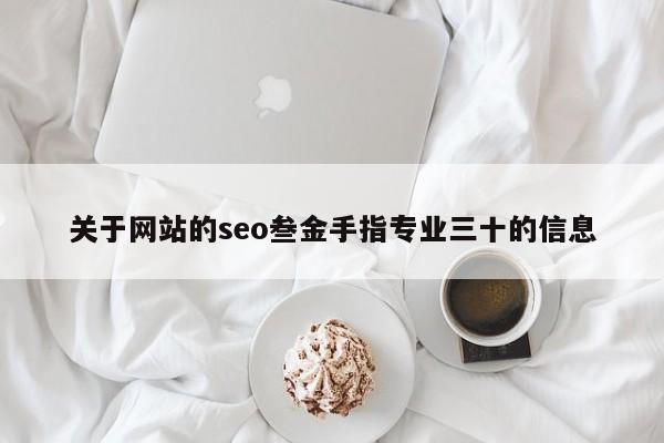 关于网站的seo叁金手指专业三十的信息