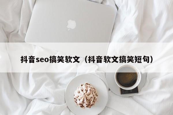 抖音seo搞笑软文（抖音软文搞笑短句）