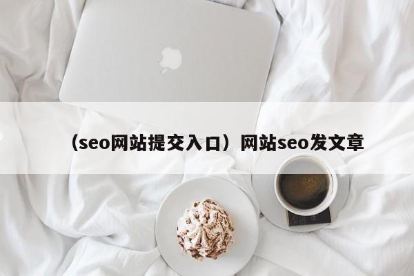 （seo网站提交入口）网站seo发文章