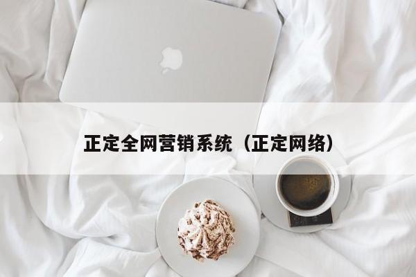 正定全网营销系统（正定网络）