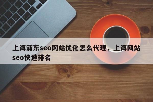 上海浦东seo网站优化怎么代理，上海网站seo快速排名