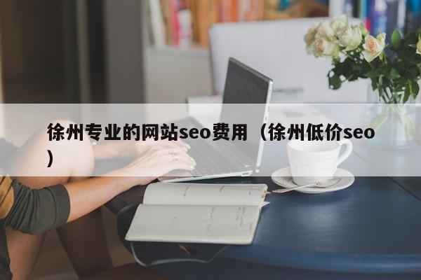 徐州专业的网站seo费用（徐州低价seo）