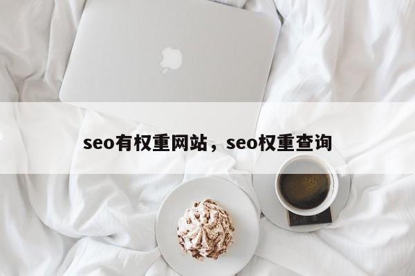 seo有权重网站，seo权重查询