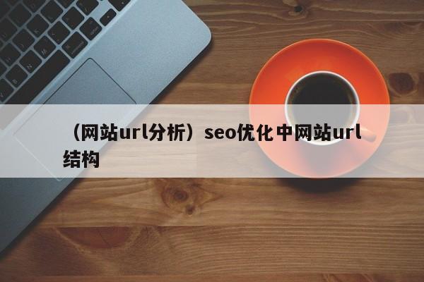 （网站url分析）seo优化中网站url结构