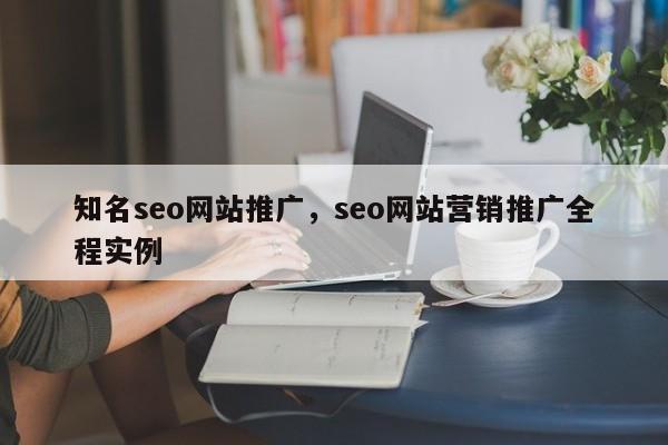 知名seo网站推广，seo网站营销推广全程实例