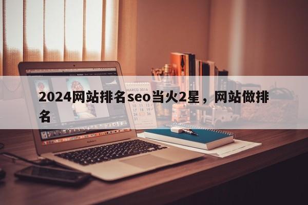 2024网站排名seo当火2星，网站做排名