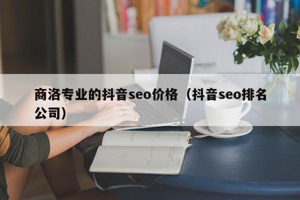 商洛专业的抖音seo价格（抖音seo排名公司）